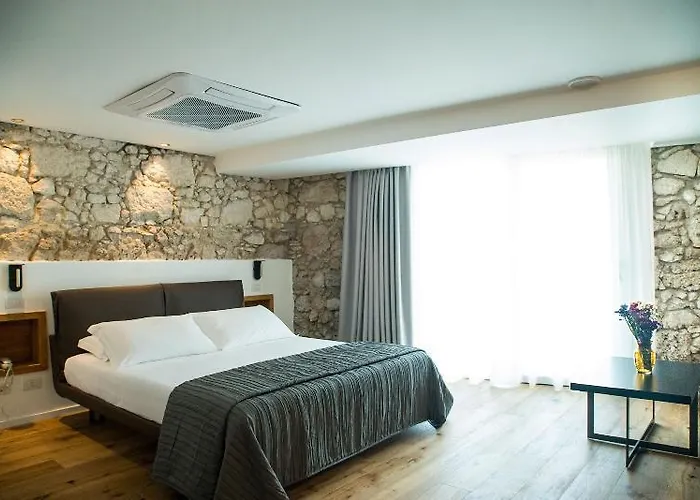 Re Dionisio Luxury 招待所